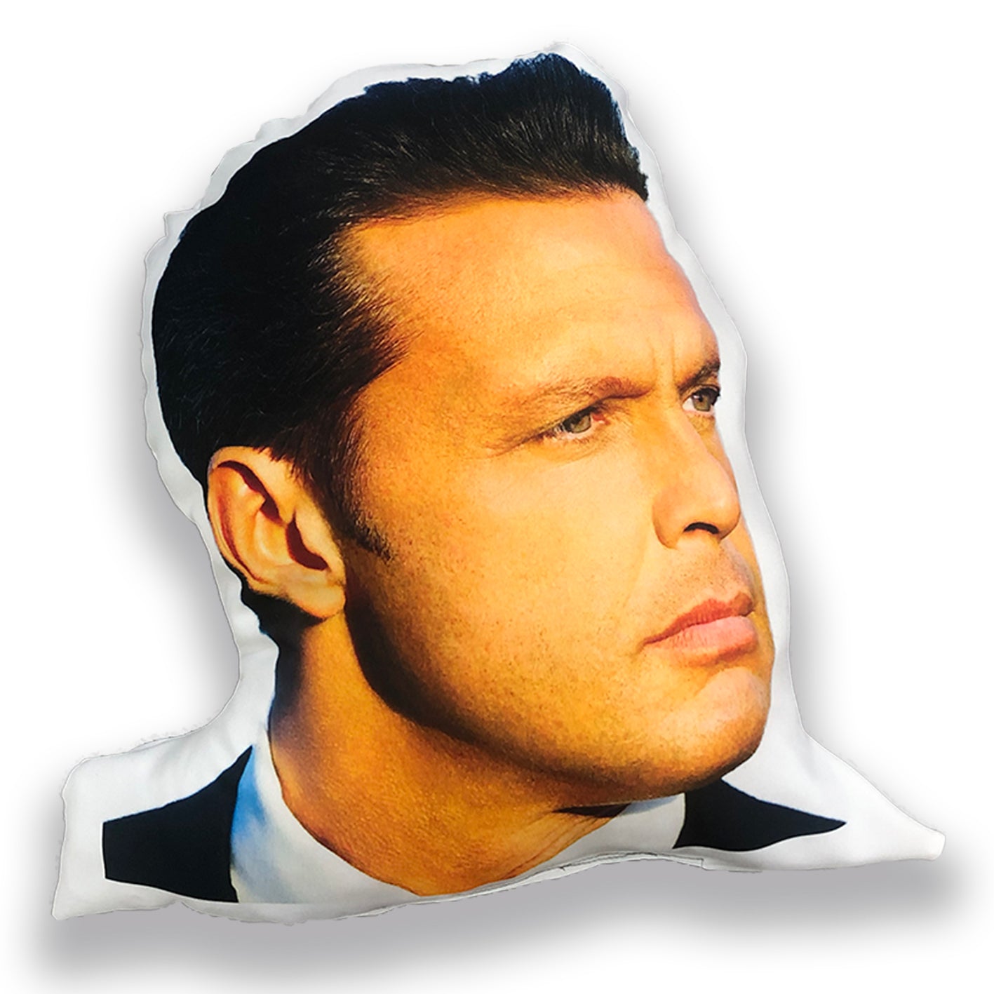 Cojín Cabezon Luis Miguel 3