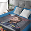 Verstappen 2