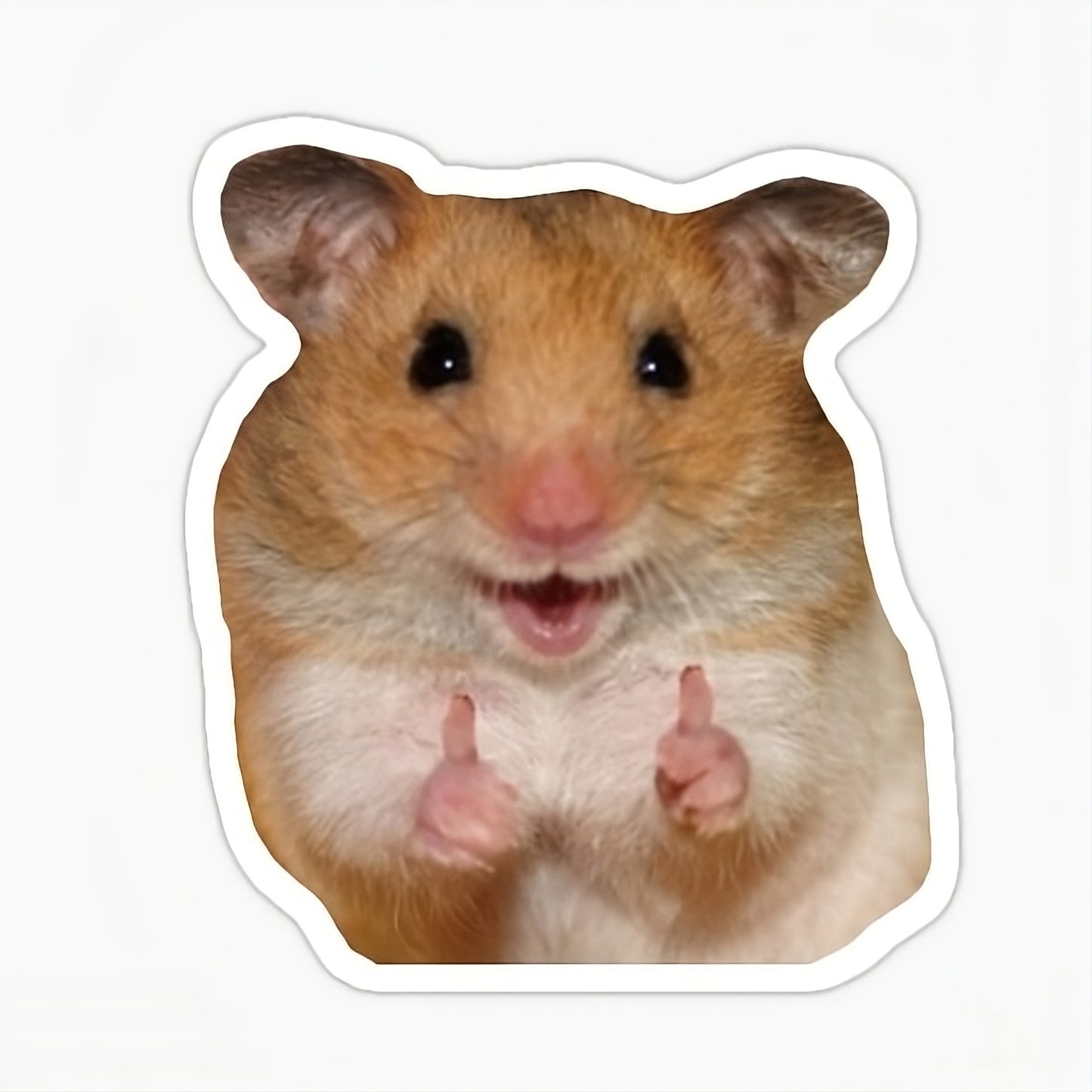 Hamster Meme Tee