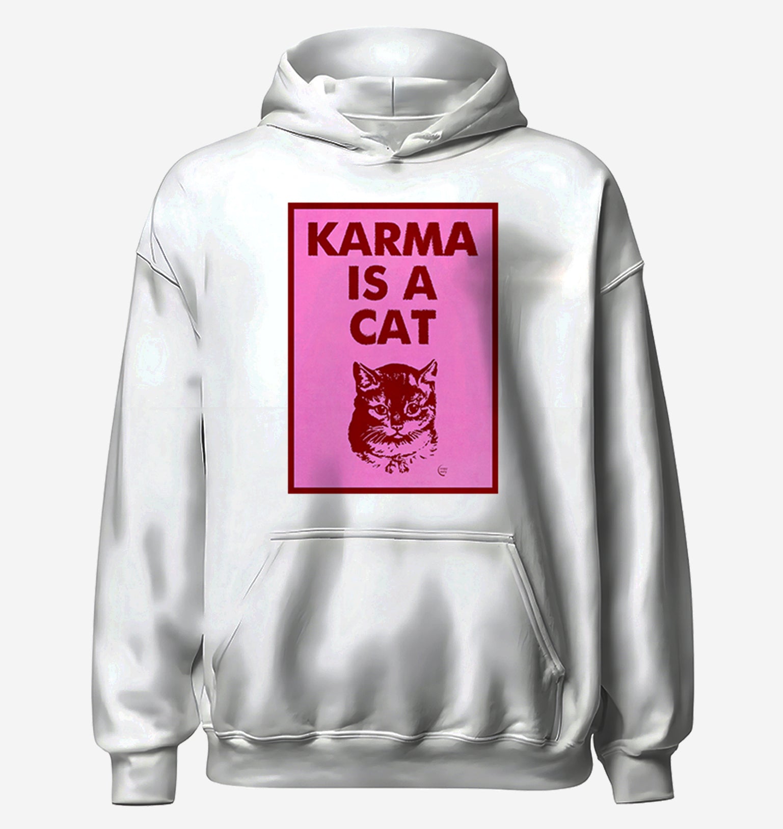 Karma Is A Cat Taylor Swift Hoodie 2 So Lucky