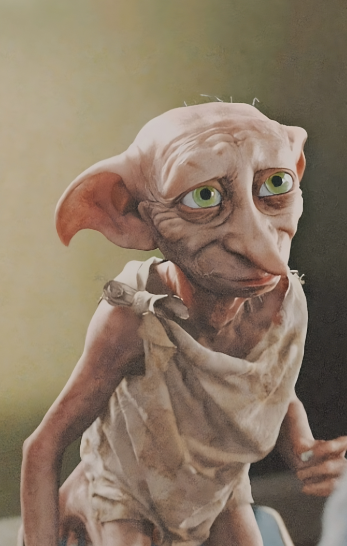 Dobby Harry Potter Tee