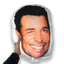 Cojín Cabezon Chayanne 2