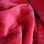 Kaws Rosa